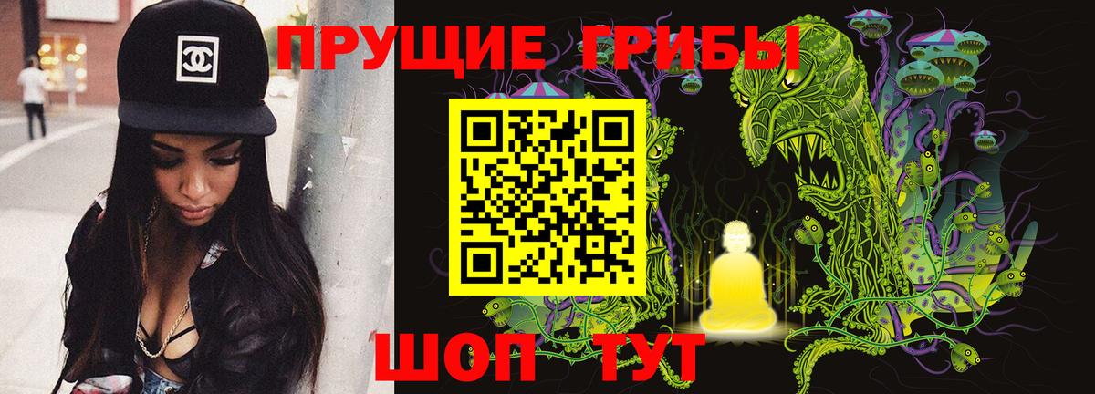 Галлюциногенные грибы Psilocybine cubensis Среднеуральск