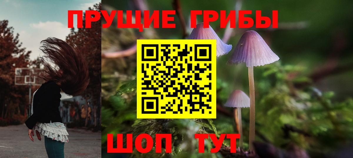 Псилоцибиновые грибы прущие грибы  Вход с VPN  Среднеуральск 